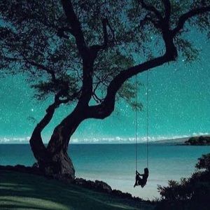 Meet your Posher, Marilyn